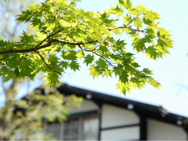 Mampei Hotel Karuizawa Bagian luar foto